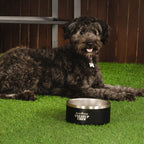 Insulated Dog Bowl